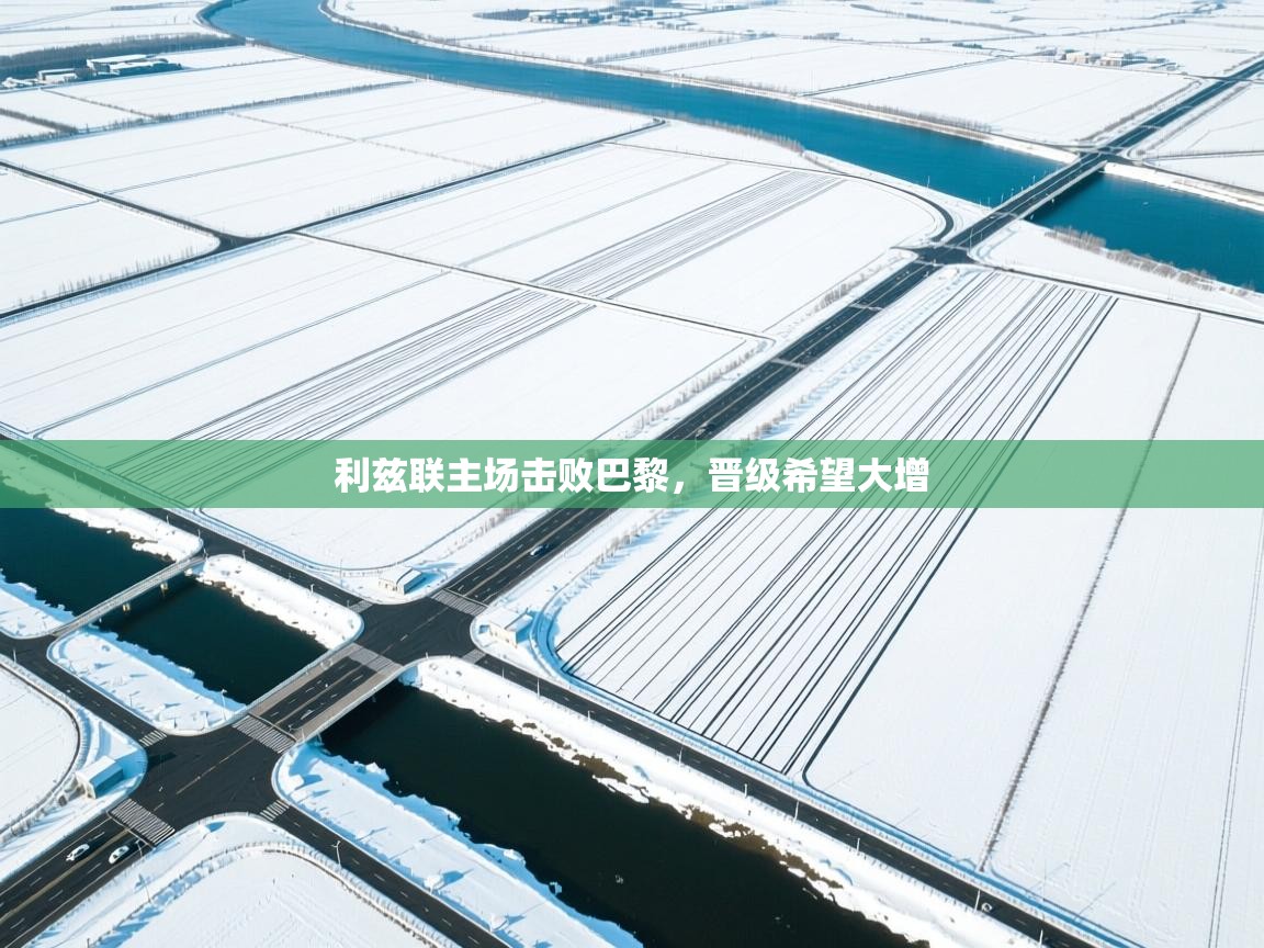 利兹联主场击败巴黎，晋级希望大增  第2张