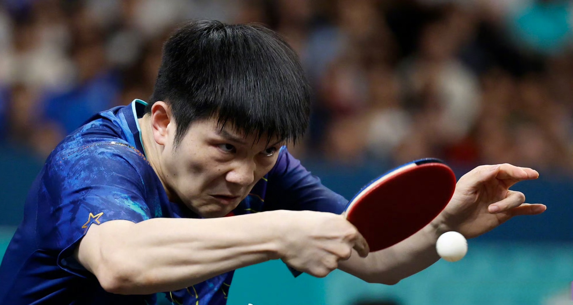 拼搏不止！精彩比赛，世界瞩目的简单介绍